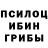 Псилоцибиновые грибы Psilocybe msamsa msemse