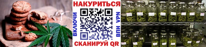 Купить закладки  Магас  Canna-Cookies конопля 