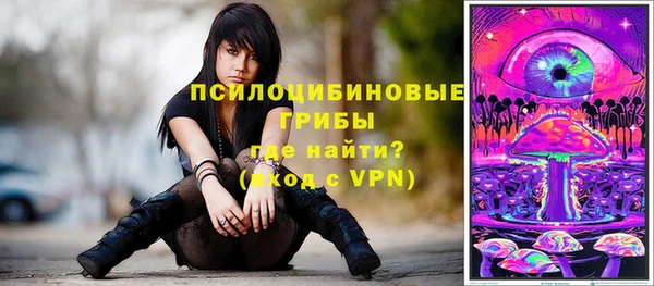 первитин Белокуриха