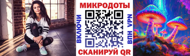 Псилоцибиновые грибы Psilocybe  Купить  Магас 
